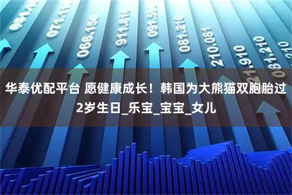华泰优配平台 愿健康成长！韩国为大熊猫双胞胎过2岁生日_乐宝_宝宝_女儿
