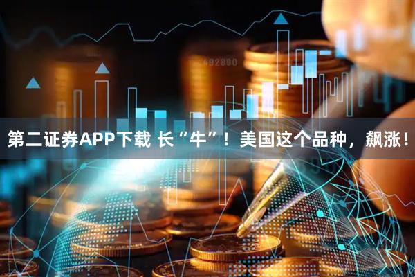第二证券APP下载 长“牛”！美国这个品种，飙涨！