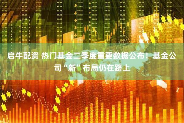 启牛配资 热门基金二季度重要数据公布！基金公司“新”布局仍在路上